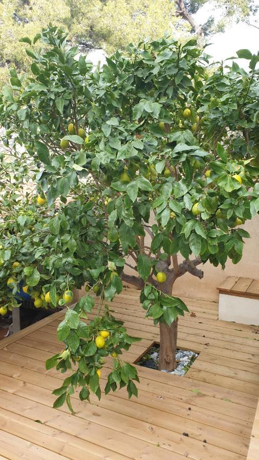 Les Terrasses Des Anthenors Bed & Breakfast องชูส-ลา-เรอดอนน์ ภายนอก รูปภาพ