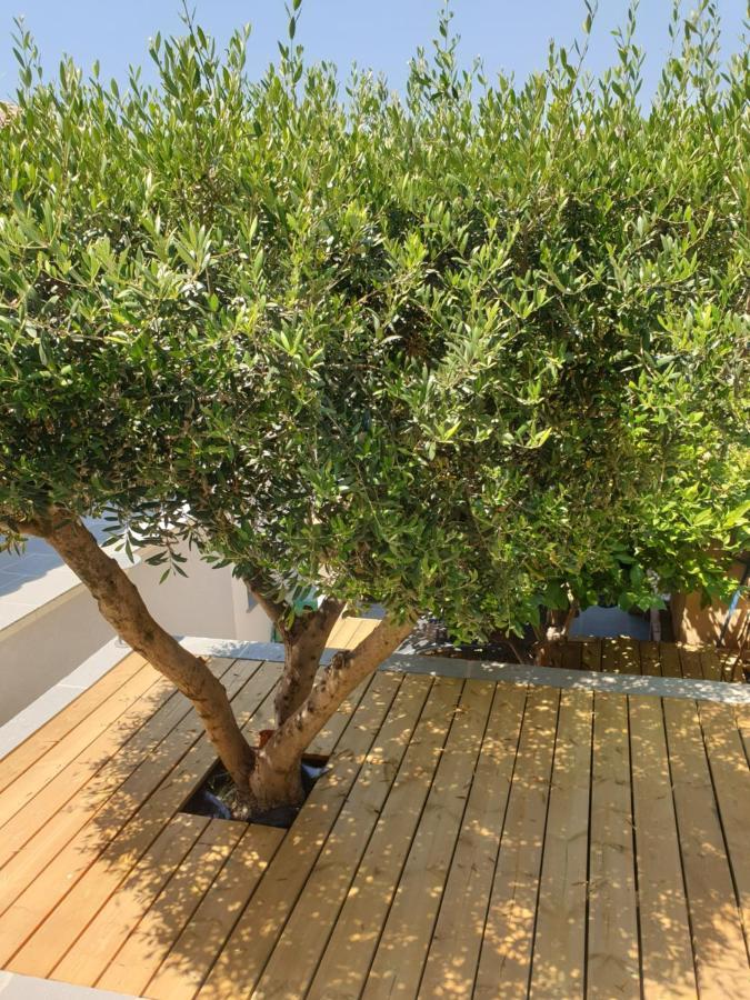 Les Terrasses Des Anthenors Bed & Breakfast องชูส-ลา-เรอดอนน์ ภายนอก รูปภาพ